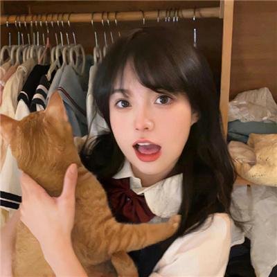 野猫